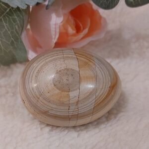 Shell Fossil Natural Stone Egg Decor